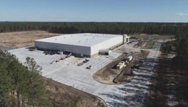 NUPI AMERICAS PLANT IN EARLY BRANCH GROWS
